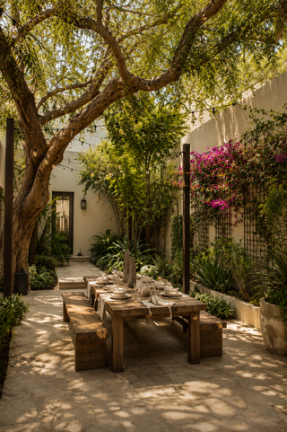 Courtyard garden with native planting in an Al Barari villa